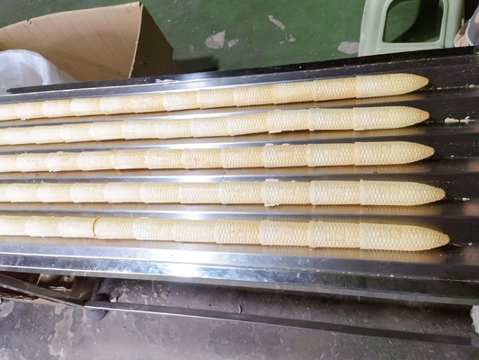 Un buon prezzo. Due colore Sugar Cone Making Machine automatico 7000pcs/H in linea